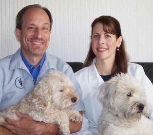 No Description